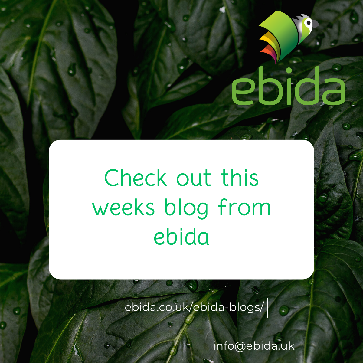 Check Out The Latest